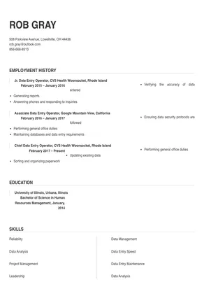 Data Entry Operator Resume Sample & Tips | Online Resume Builder