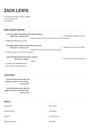 Dog Walker Resume Sample amp Tips - Background.webp