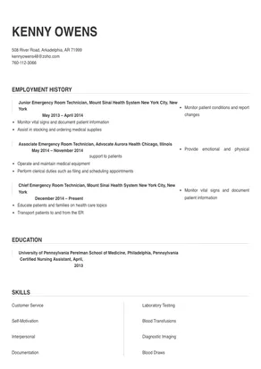 Emergency Room Technician Resume - Background.webp