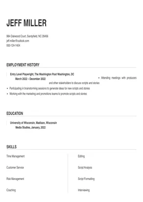 Playwright Resume Sample amp Tips - Background.webp